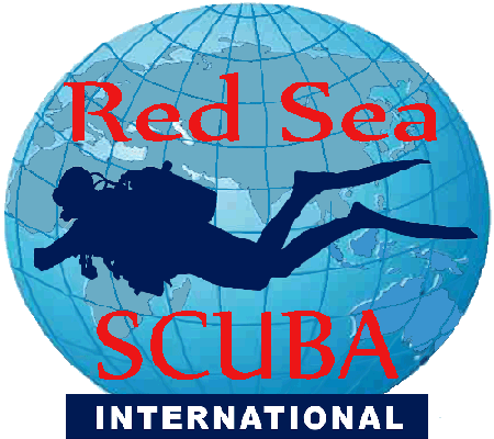 Startseite für Easy Divers - Rotes Meer im Sharm el-Sheikh Ägypten